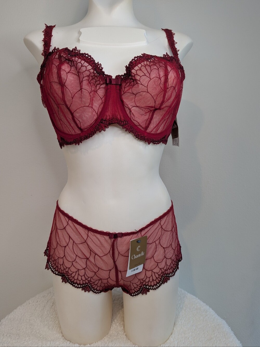 Chantelle Burgundy Lace Underwire Bra & Brief Set 36DD/L